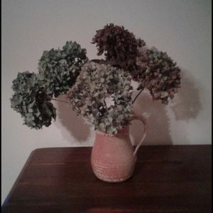 Meet your Posher, Lana